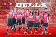 Bulls